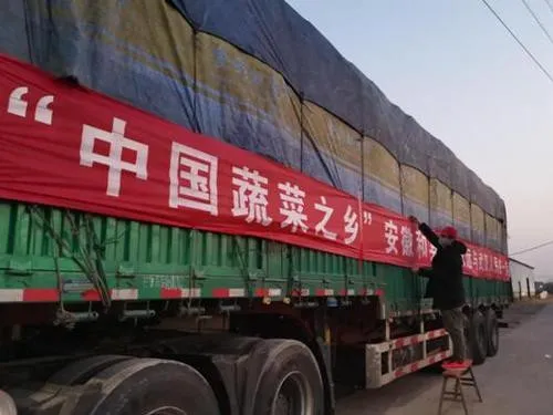 中国,不需要道歉!!!桌子的生活观!