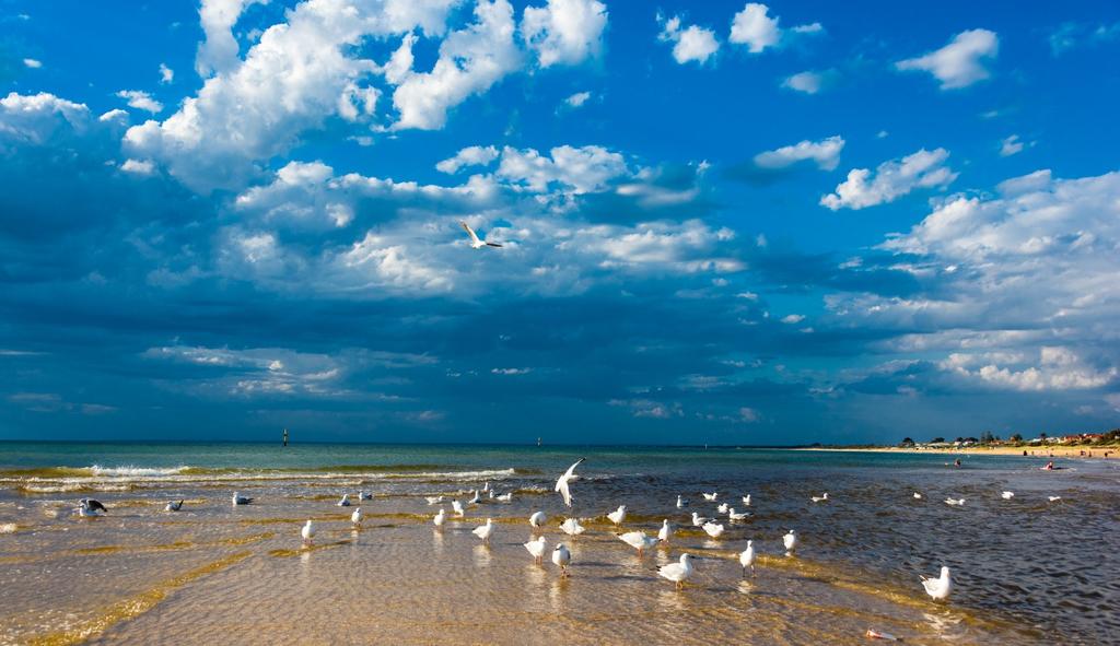 青岛~美丽的海滨城市