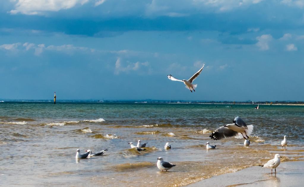 青岛~美丽的海滨城市